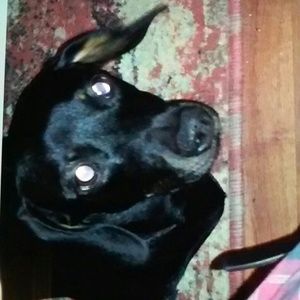 Meet your Posher, Danielle