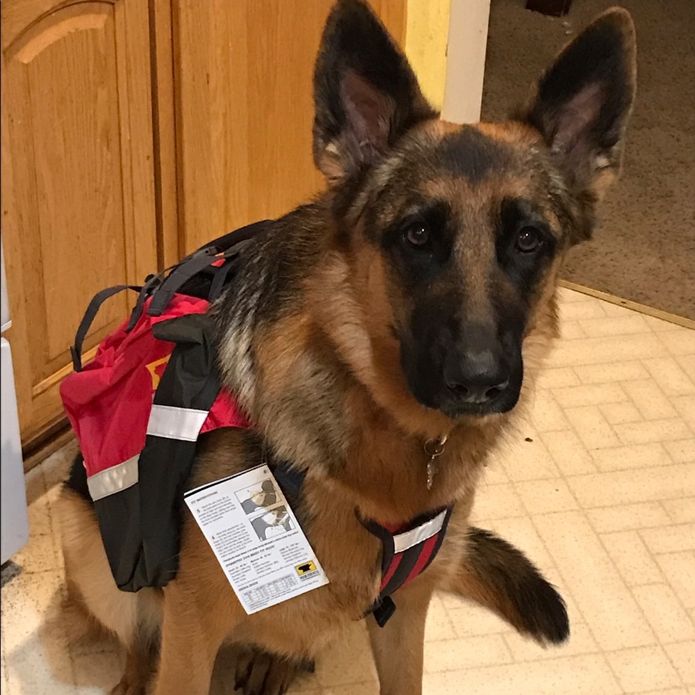 Meet your Posher, Bridget