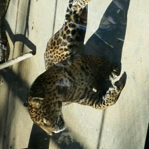 Meet your Posher, Erica