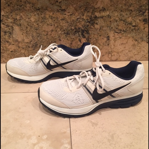 Nike Men's Pegasus 29