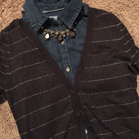 Shimmery-striped Button up Navy Sweater