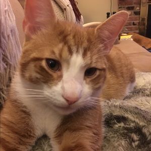 Meet your Posher, Kristen