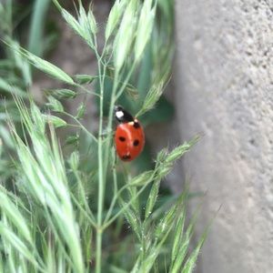 Meet your Posher, Deb