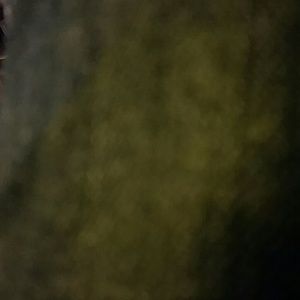 Meet your Posher, Missy