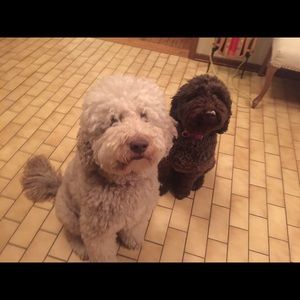 Meet your Posher, Jillian