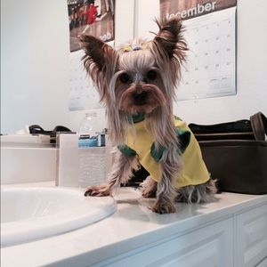 Meet your Posher, Amber