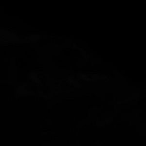 Meet your Posher, Tyrone