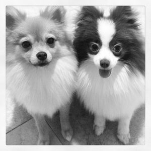 Meet your Posher, Julianna