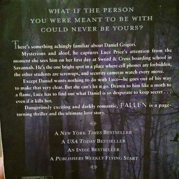 Fallen novel book - Picture 2 of 2