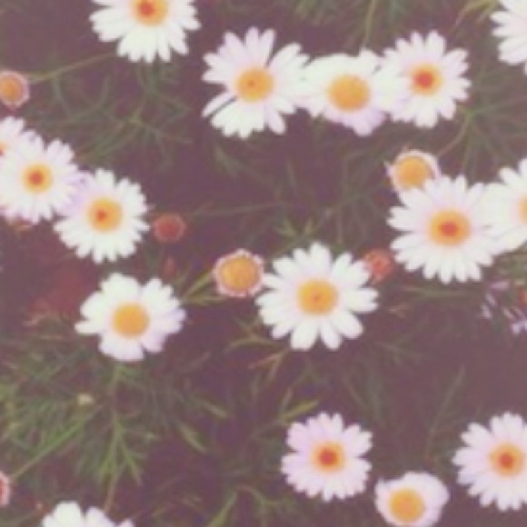 Meet your Posher, Kiana - Picture 1 of 1