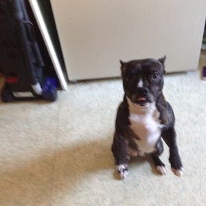 Meet your Posher, Paula