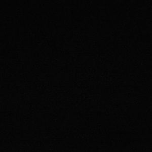 Meet your Posher, Marley