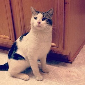 Meet your Posher, Ash