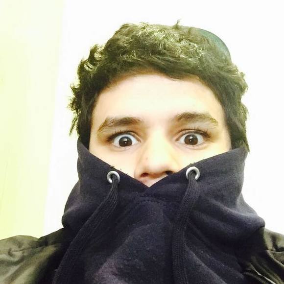 Meet your Posher, Rudy - Picture 1 of 1