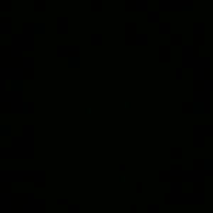 Meet your Posher, Demetria