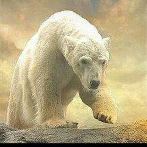 Meet your Posher, Gail