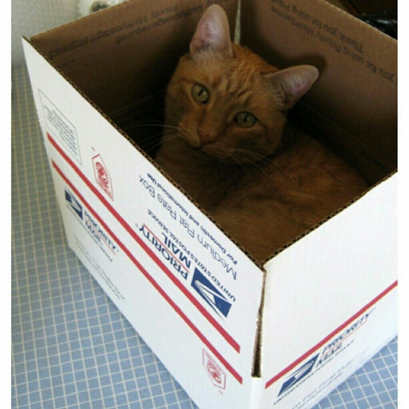 If it fits it ships! Sale tonight!