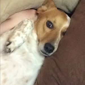 Meet your Posher, Diamond