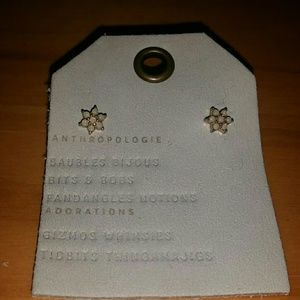Anthropologie studs