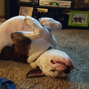 Meet your Posher, Brittnie