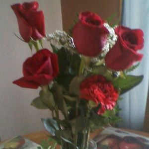 Meet your Posher, Ana