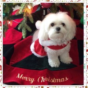 Meet your Posher, Jayne