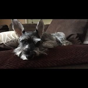 Meet your Posher, Natalie