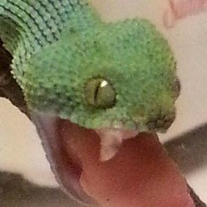 Meet your Posher, Chrystal