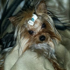 Meet your Posher, Bethany