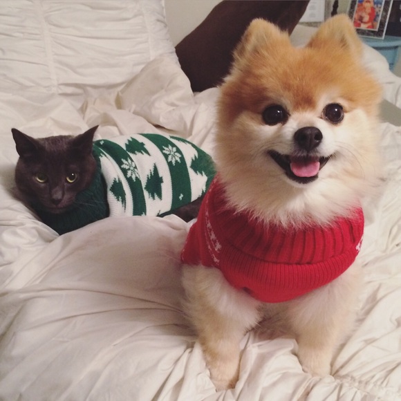 Meet your Posher, Michelle - Picture 2 of 2