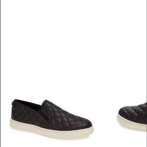 Steve Madden ecentrcq sneaker in black 7