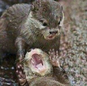 Meet your Posher, Sonia