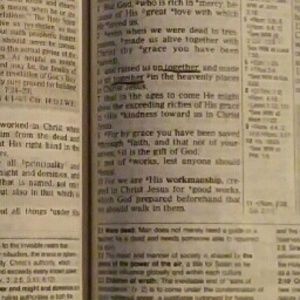 Meet your Posher, Benjamin