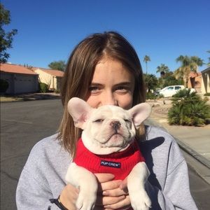 Meet your Posher, Tesia