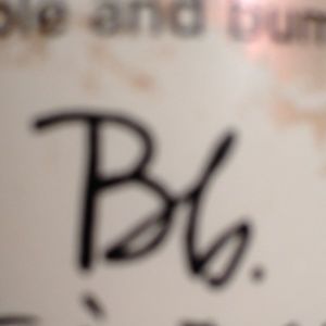 Meet your Posher, Lisa