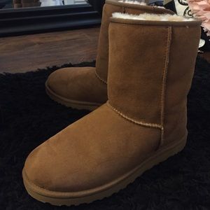 NEVER WORN CLASSIC SHORT CHESTNUT UGGS!!!!!!!!