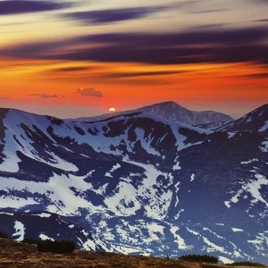 Meet your Posher, Mitzi