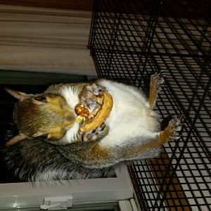 Meet your Posher, Christy