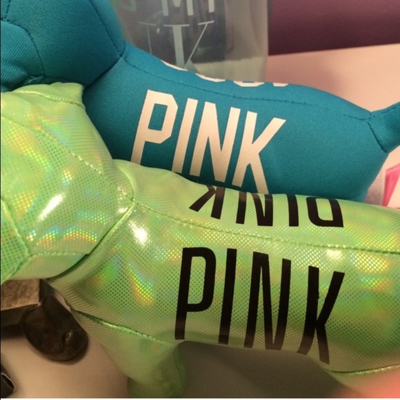 VS PINK dogs