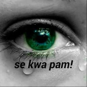 Meet your Posher, Lacey