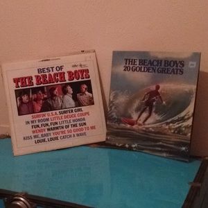 2 Beach Boys Vinyl Records