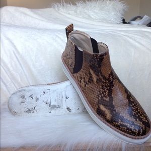 Zara Shoes - Zara Snakeprint Sneaks Zara Shoes - Zara Snakeprint Sneaks