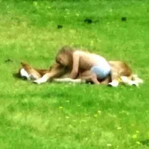 Meet your Posher, Taylor