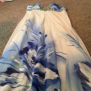 Hand Painted prom dress