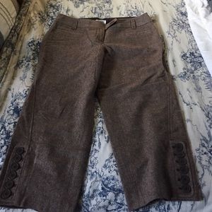 Ann Taylor Loft cropped wool riding pants