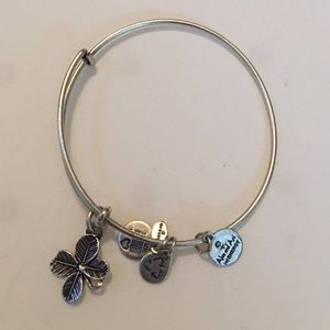 Alex and Ani silver charm bangle