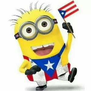 Meet your Posher, Devin