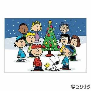 Meet your Posher, Sophie