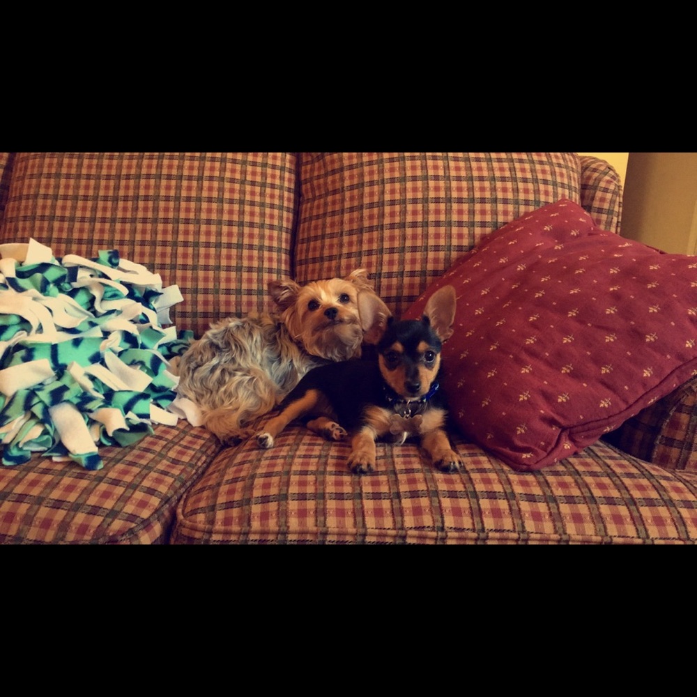 Meet your Posher, Jimena