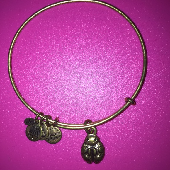 Lady bug Alex & Ani charm bracelet 🐞